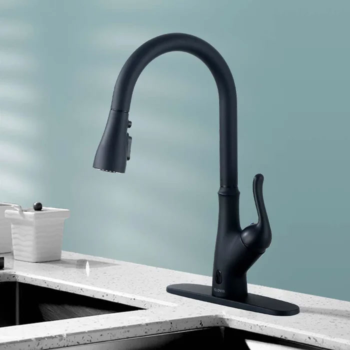 Kitchen Faucet 20S05101MBL