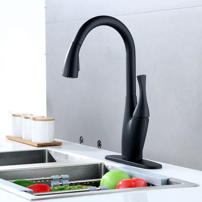 Kitchen Faucet 21S05102MBL